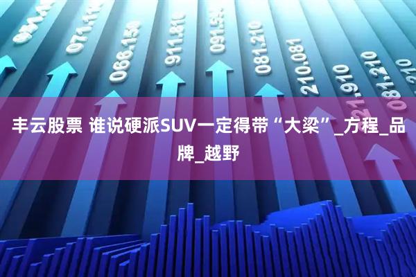丰云股票 谁说硬派SUV一定得带“大梁”_方程_品牌_越野