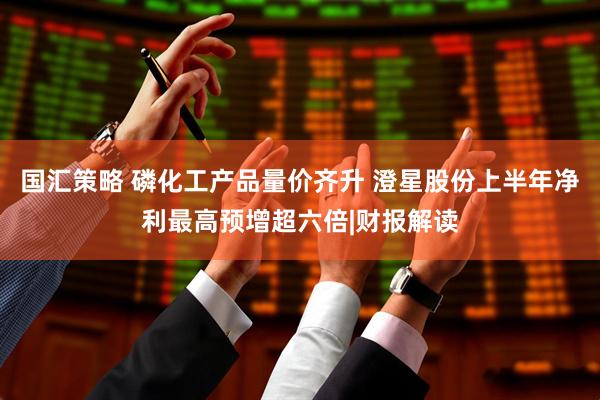 国汇策略 磷化工产品量价齐升 澄星股份上半年净利最高预增超六倍|财报解读